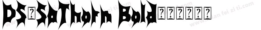 DS-SaThorn Bold字体转换